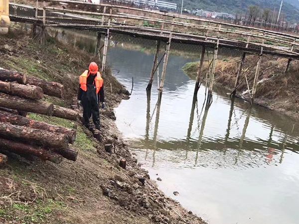 河道松木桩