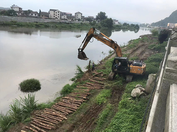 河道松木桩